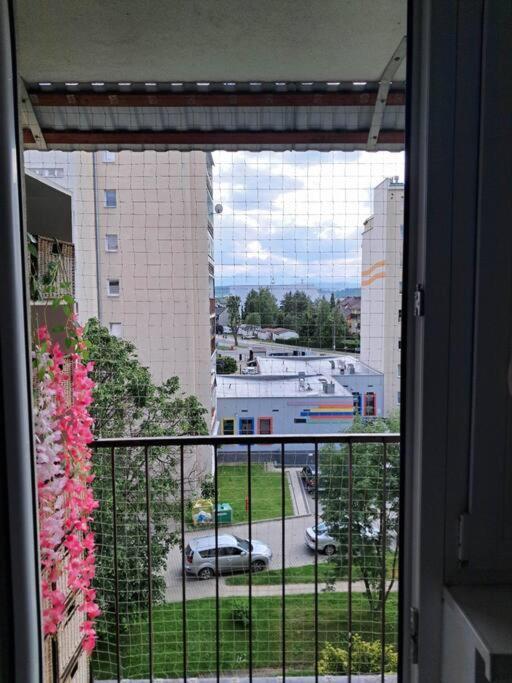 Apartament Na 4 Pietrze โนวือตาร์ก ภายนอก รูปภาพ