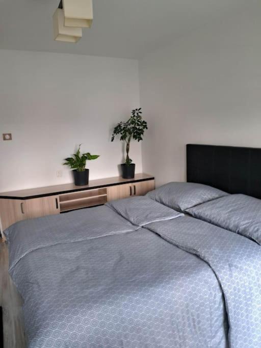 Apartament Na 4 Pietrze โนวือตาร์ก ภายนอก รูปภาพ